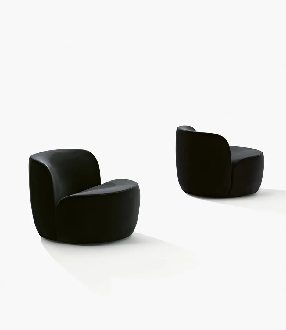 Кресло Aqualuna — Poliform, фото 5