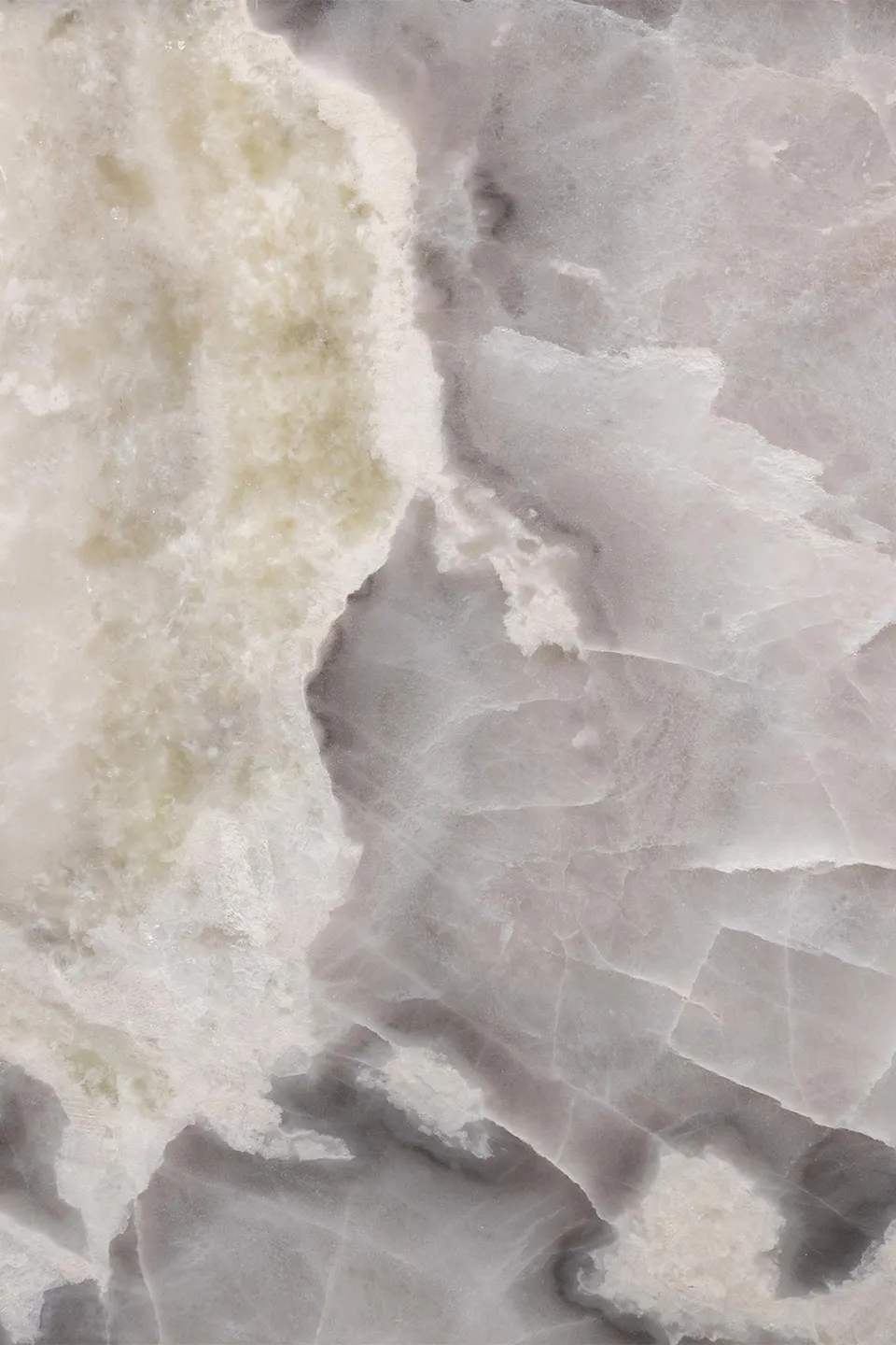 Forest table — Rugiano, photo 4